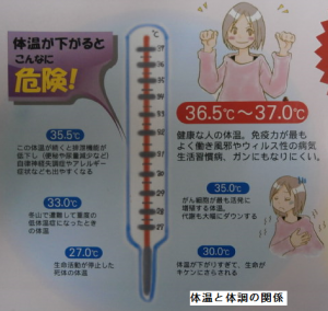 体温と体調の関係